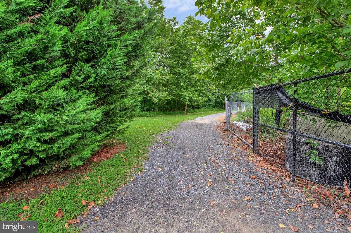 8049 Forest Ridge Dr # 3 photo 37