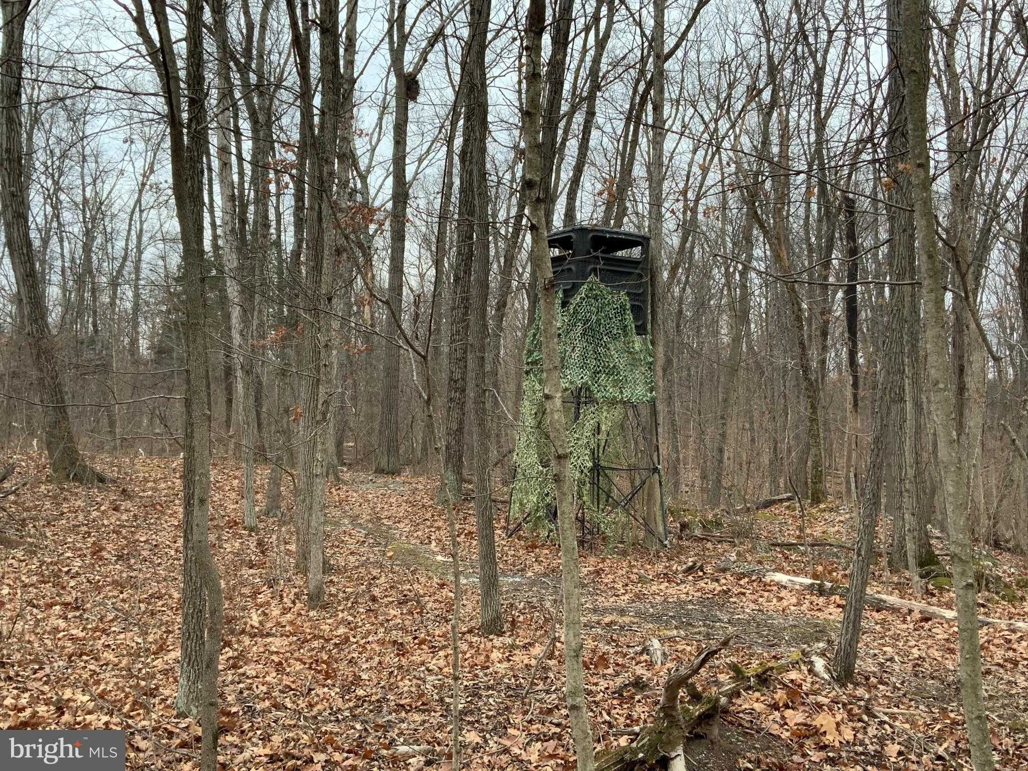 Nestle Quarry Rd photo 1