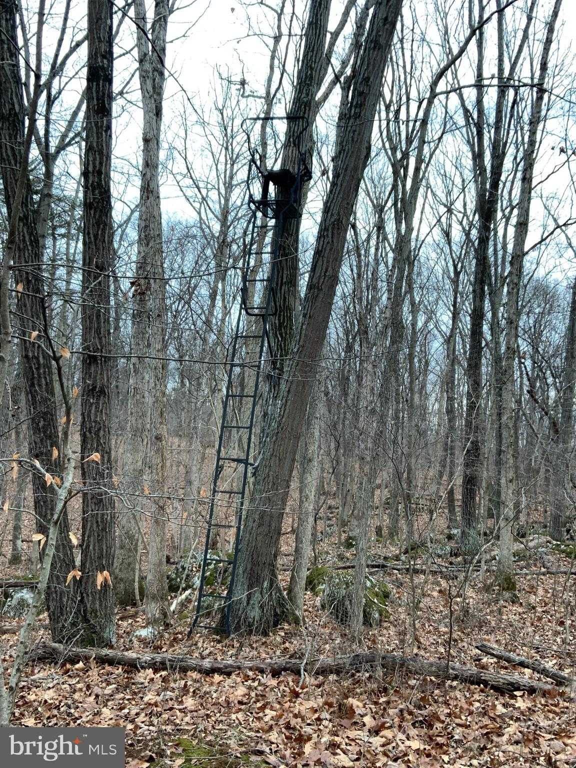 Nestle Quarry Rd photo 2