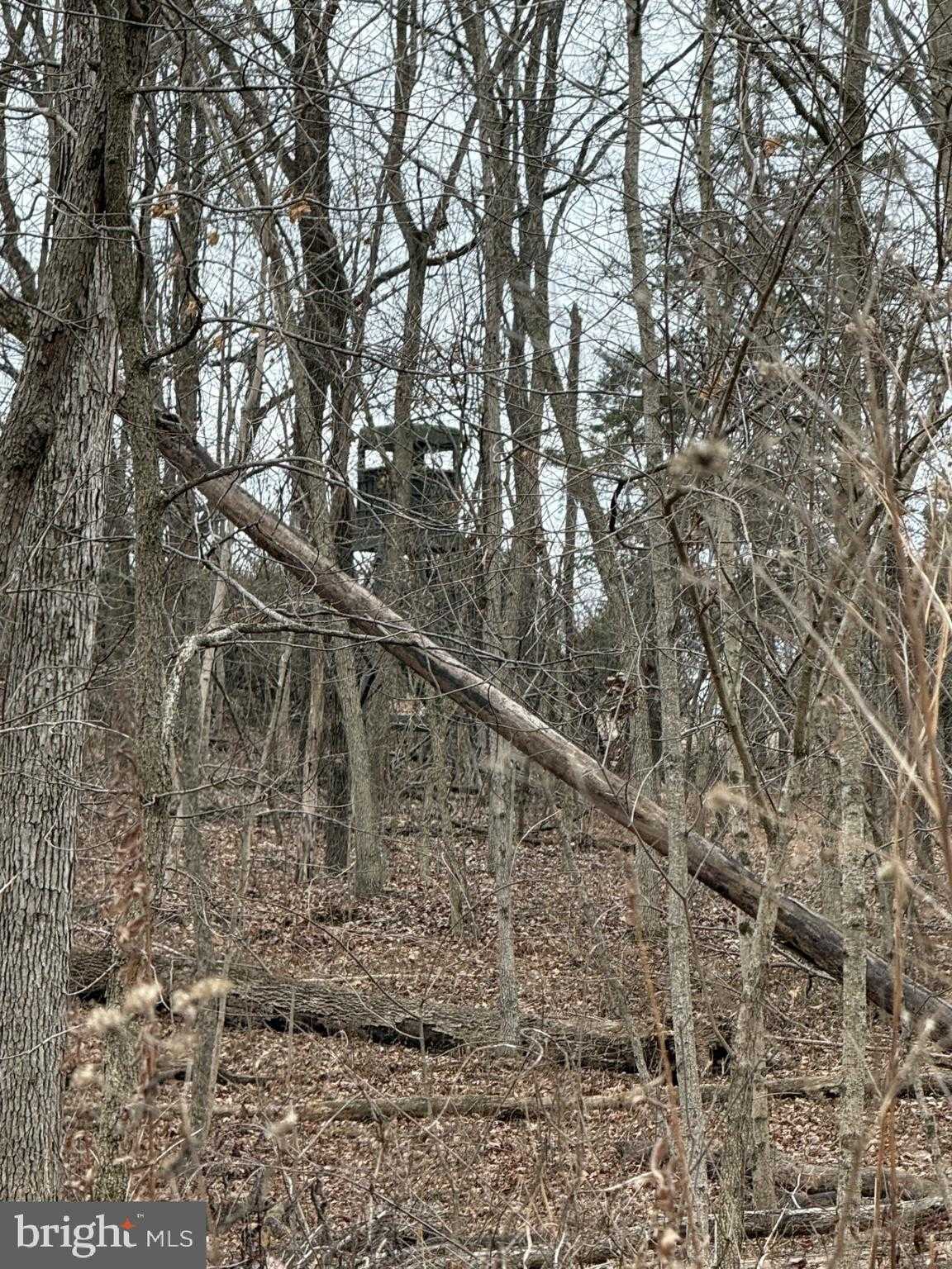 Nestle Quarry Rd photo 3