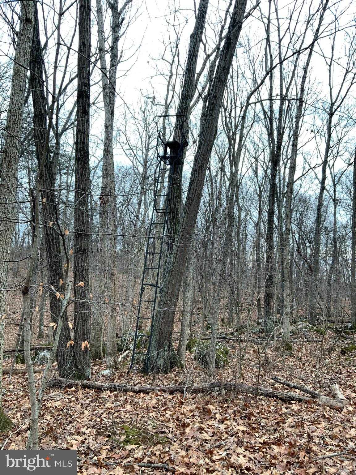 Nestle Quarry Rd photo 6