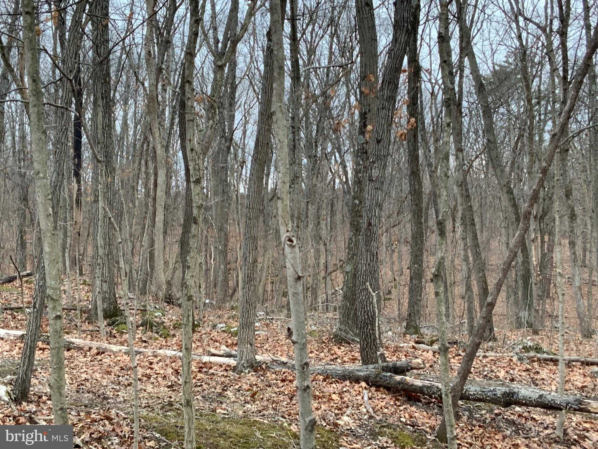 Nestle Quarry Rd photo 7