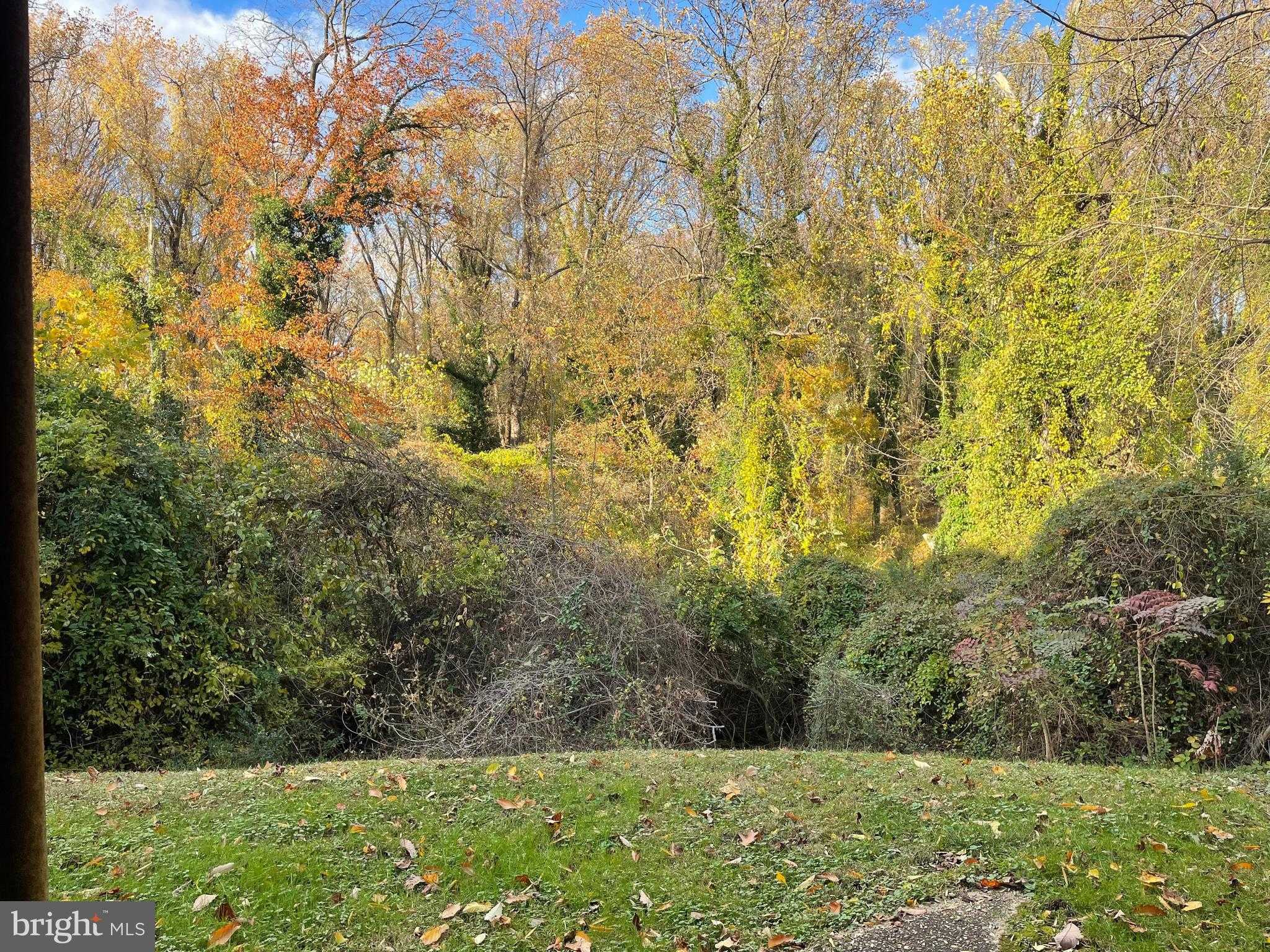 16 Brice Rd photo 21