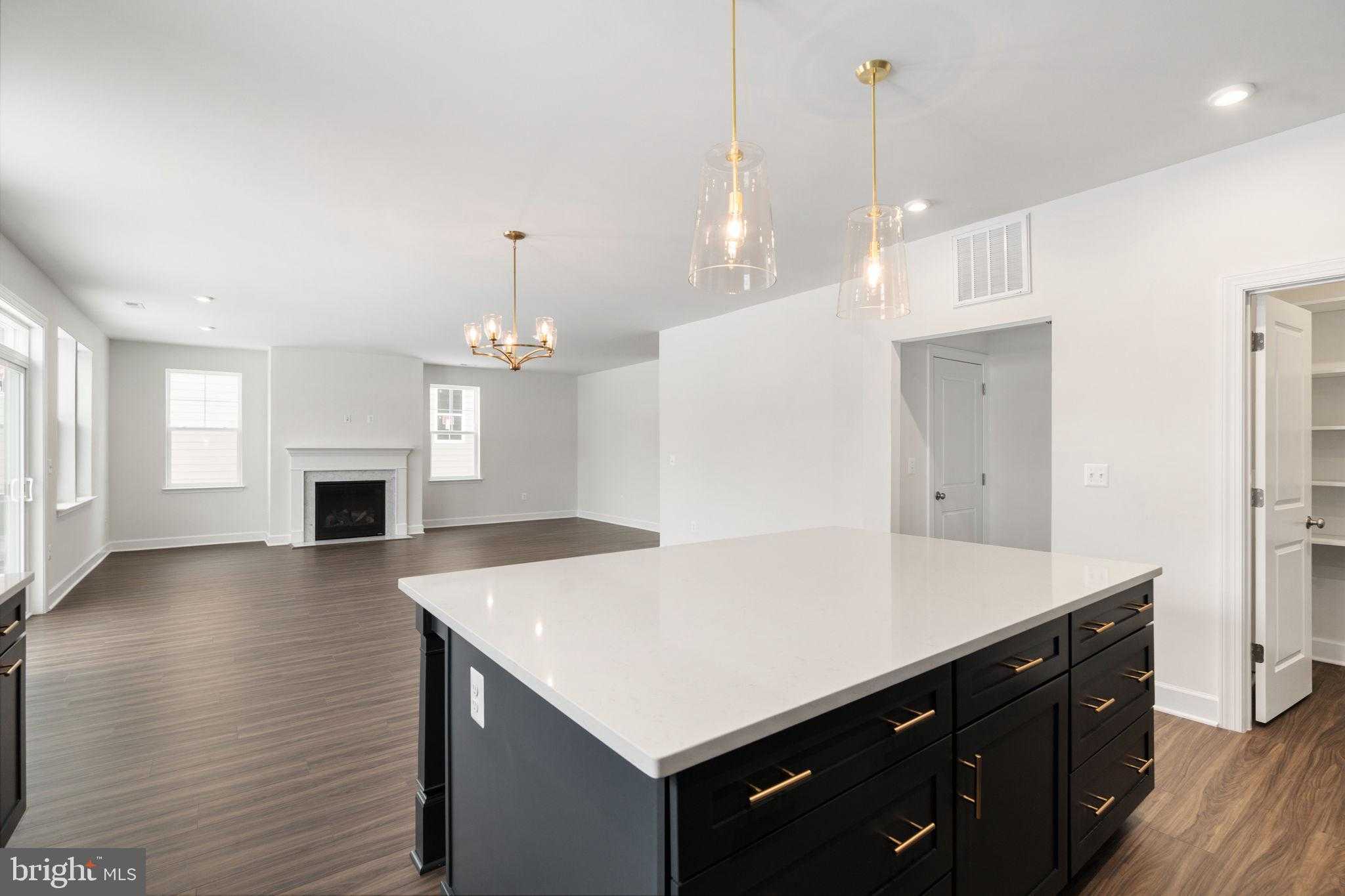 11568 Chapman Mill Dr photo 10