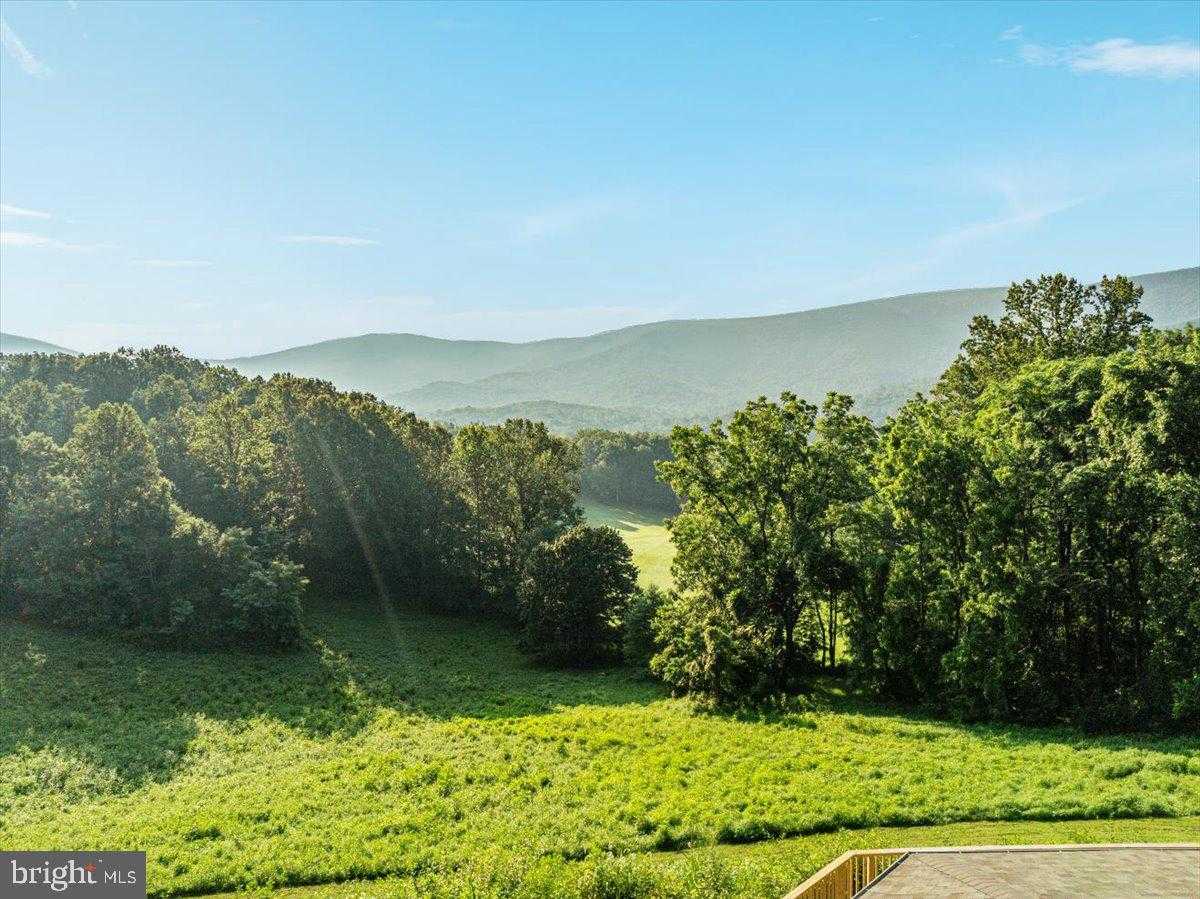 472 Wesley Ln photo 52