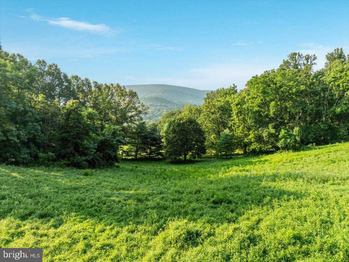 472 Wesley Ln photo 53