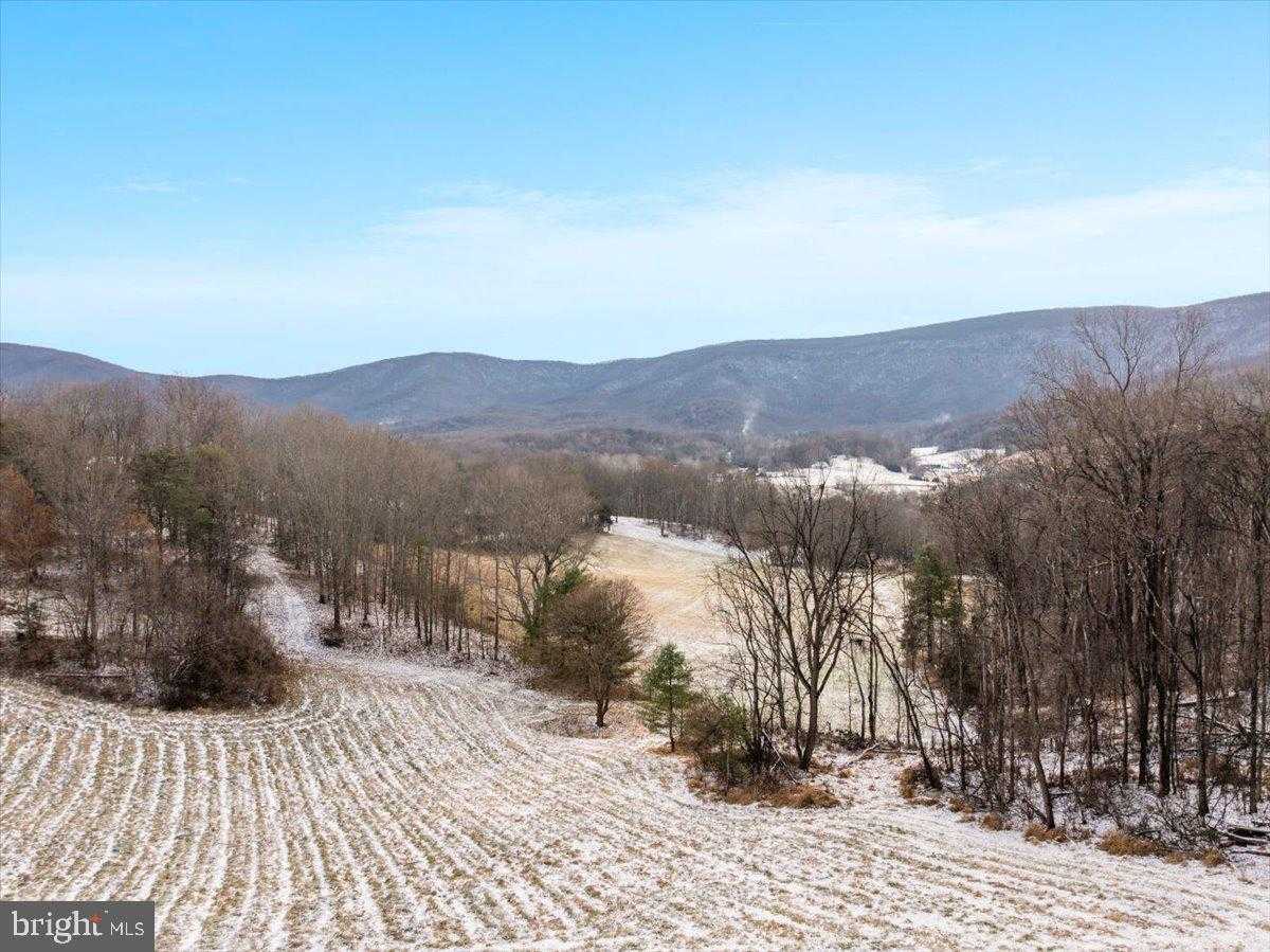 472 Wesley Ln photo 58