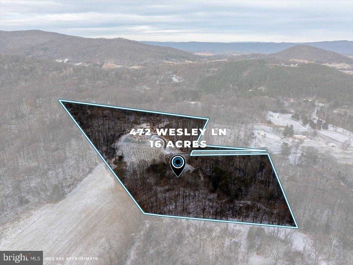 472 Wesley Ln photo 61