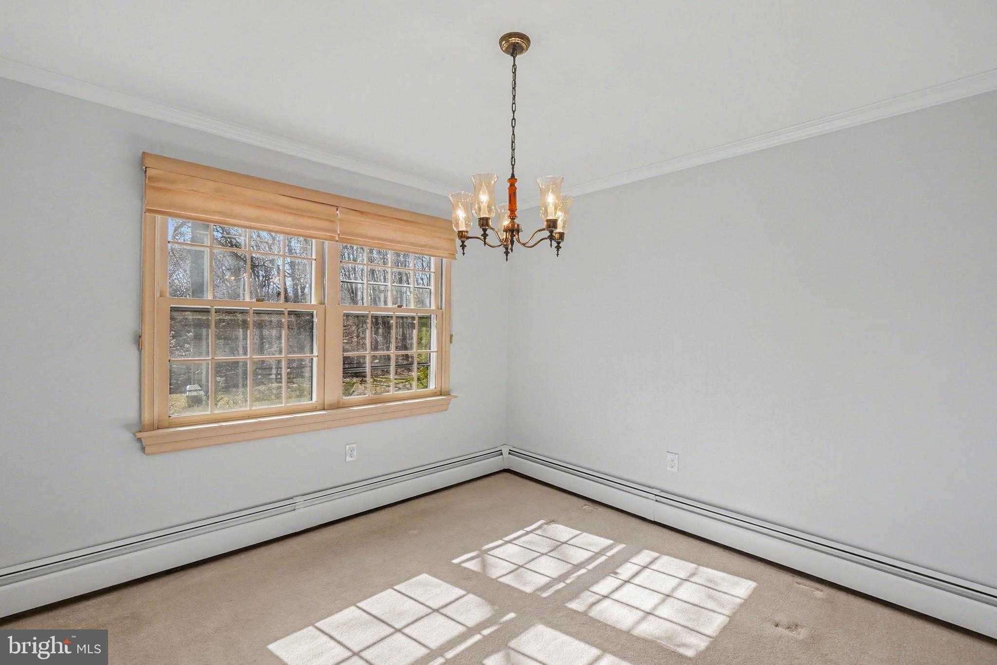 11 Colonial Cir photo 19