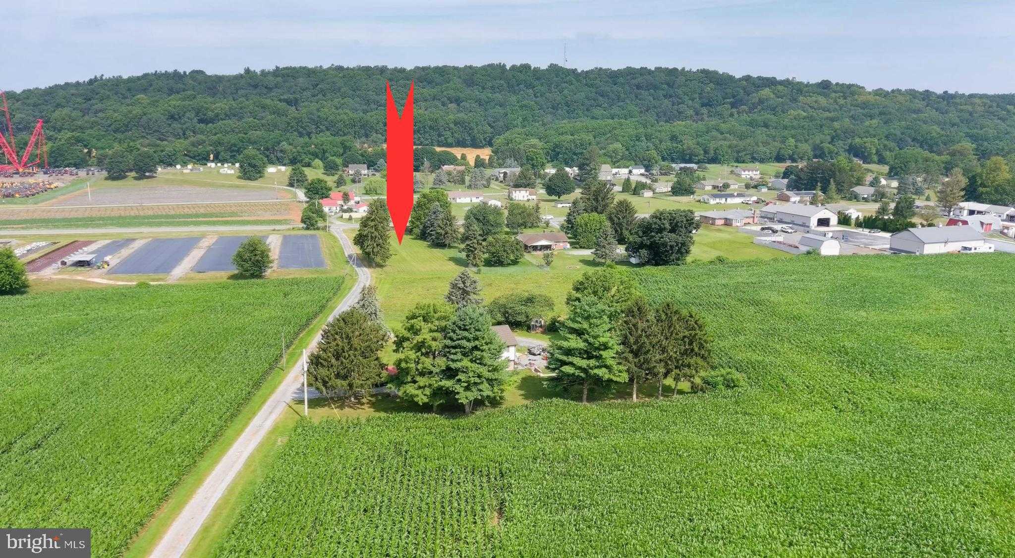 Olde Scotland Rd photo 2