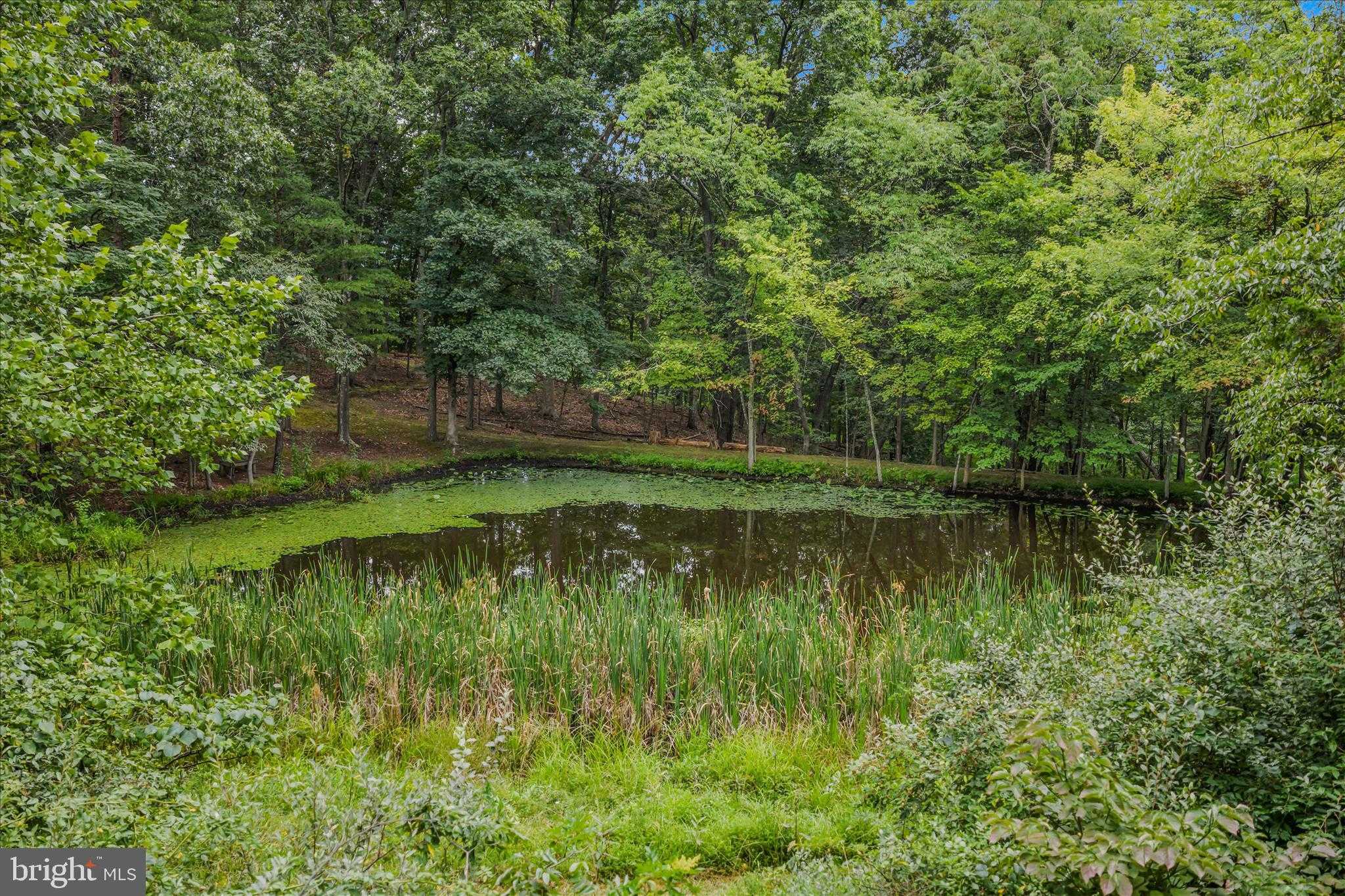 35 Sleepyview Ln photo 50