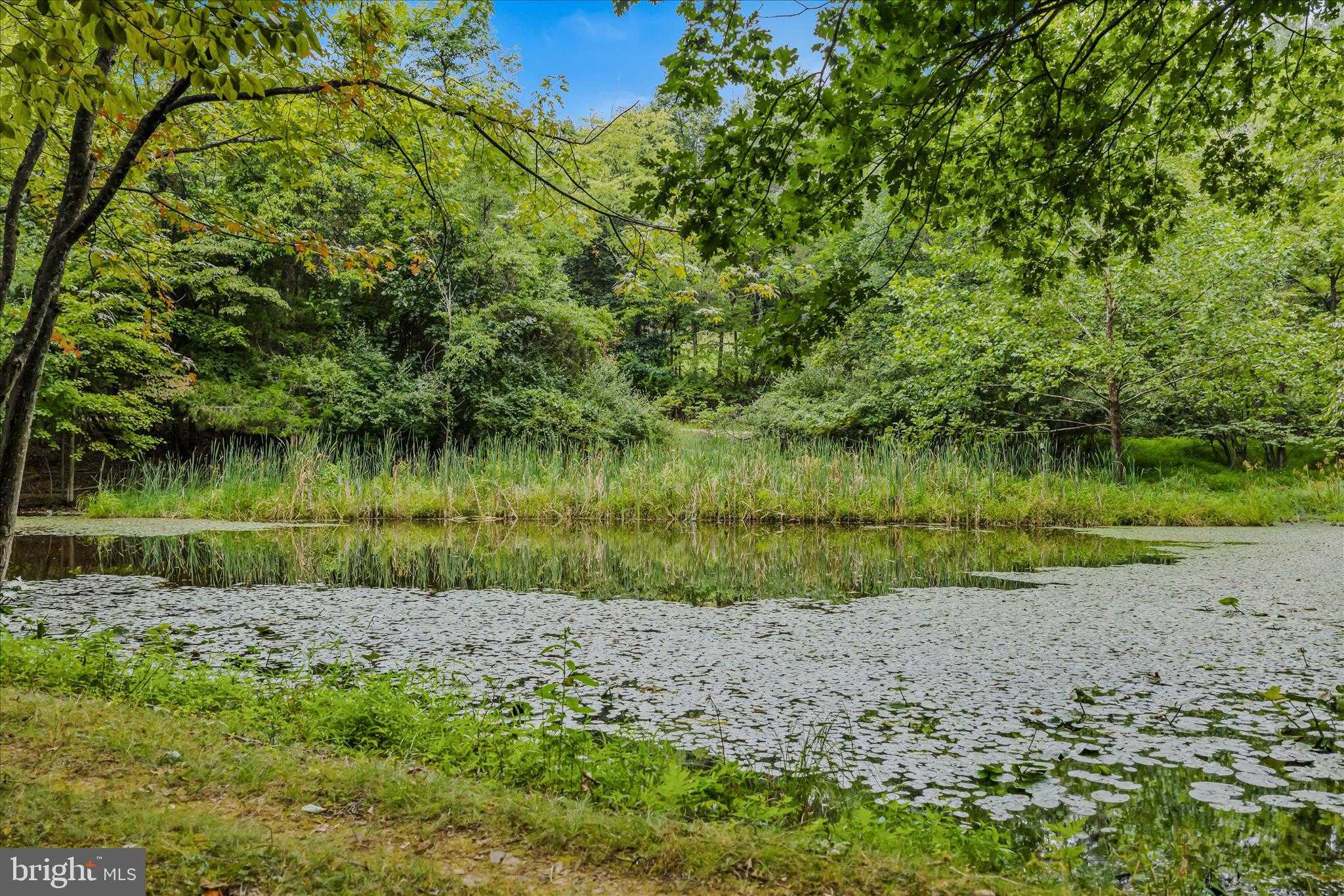 35 Sleepyview Ln photo 51