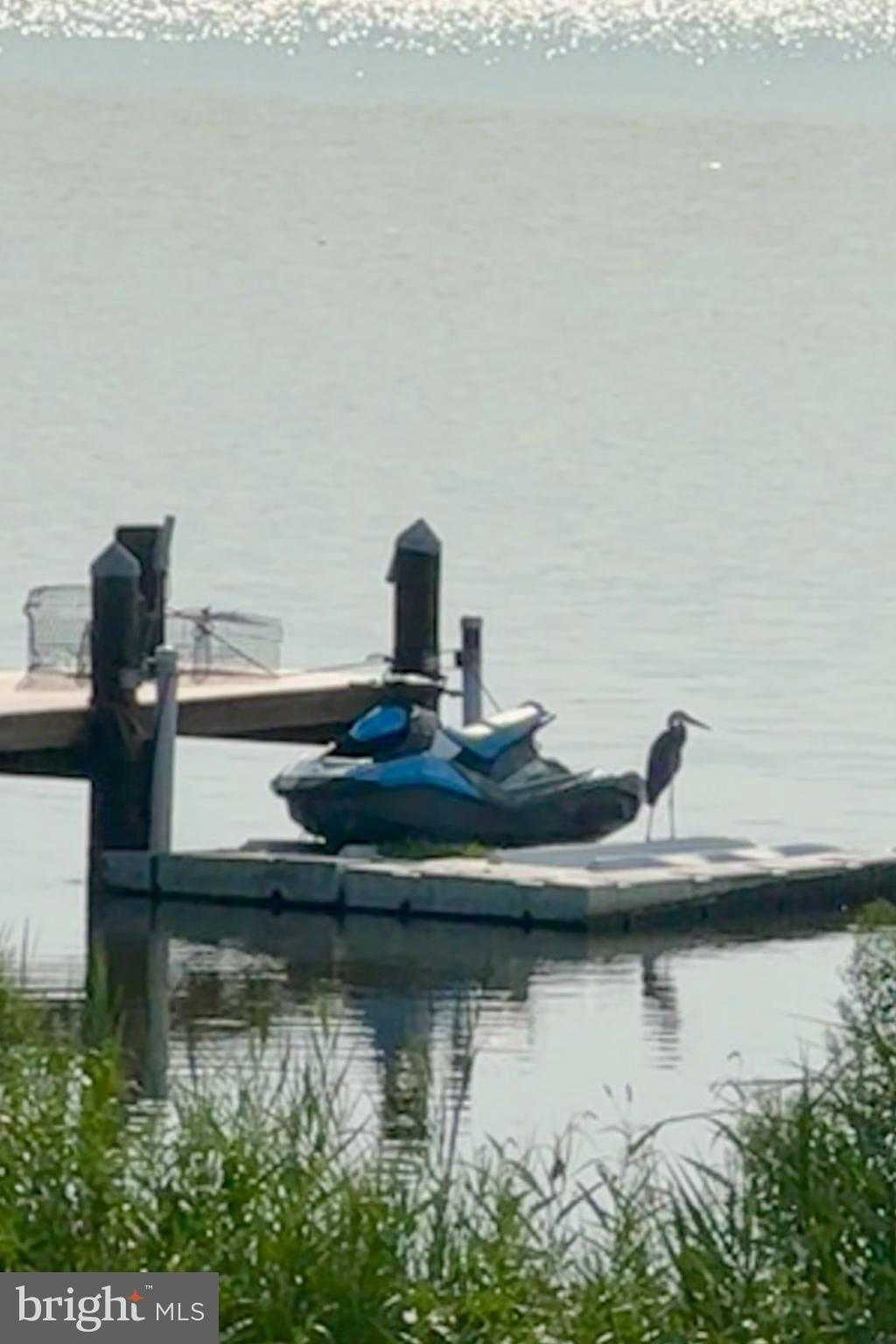 231 Richard Dr photo 39