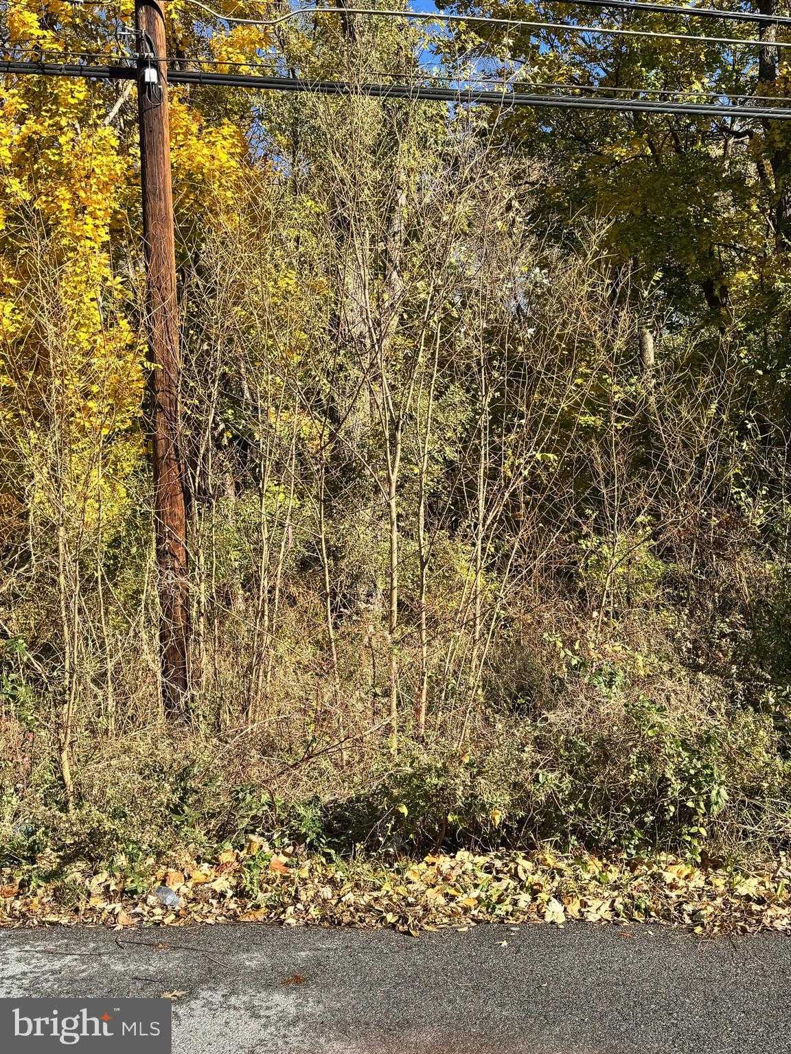 101 Rothwell Ave photo 2