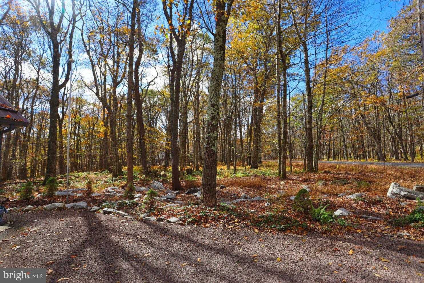 1218 E Alpine Dr photo 62