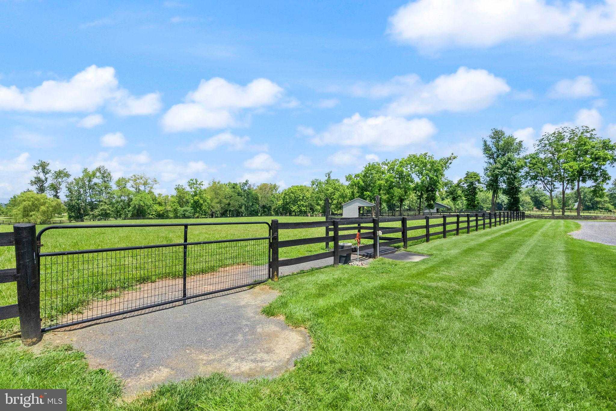 34642 Atoka Chase Ln photo 103