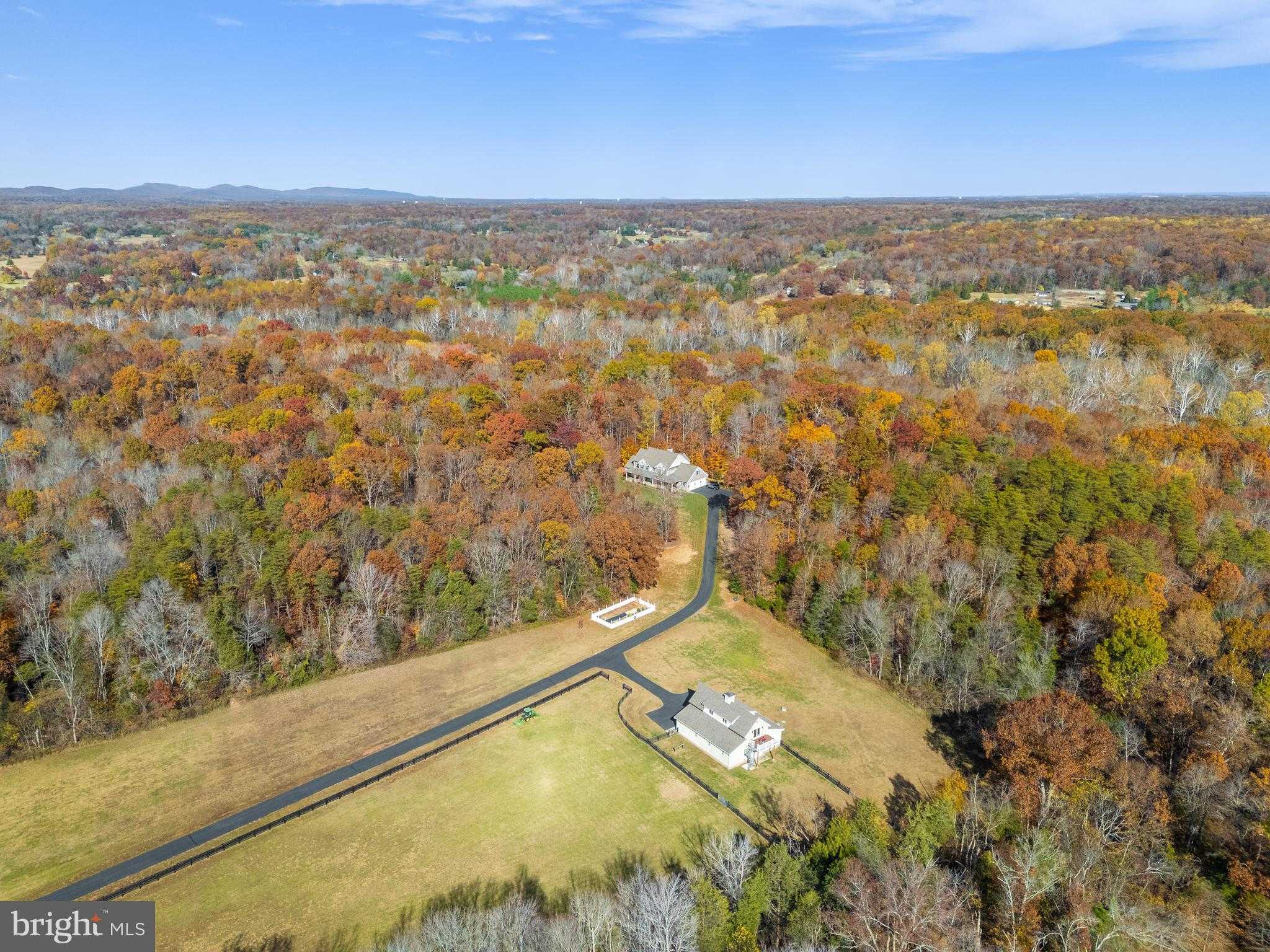 8485 Rogues Rd photo 94