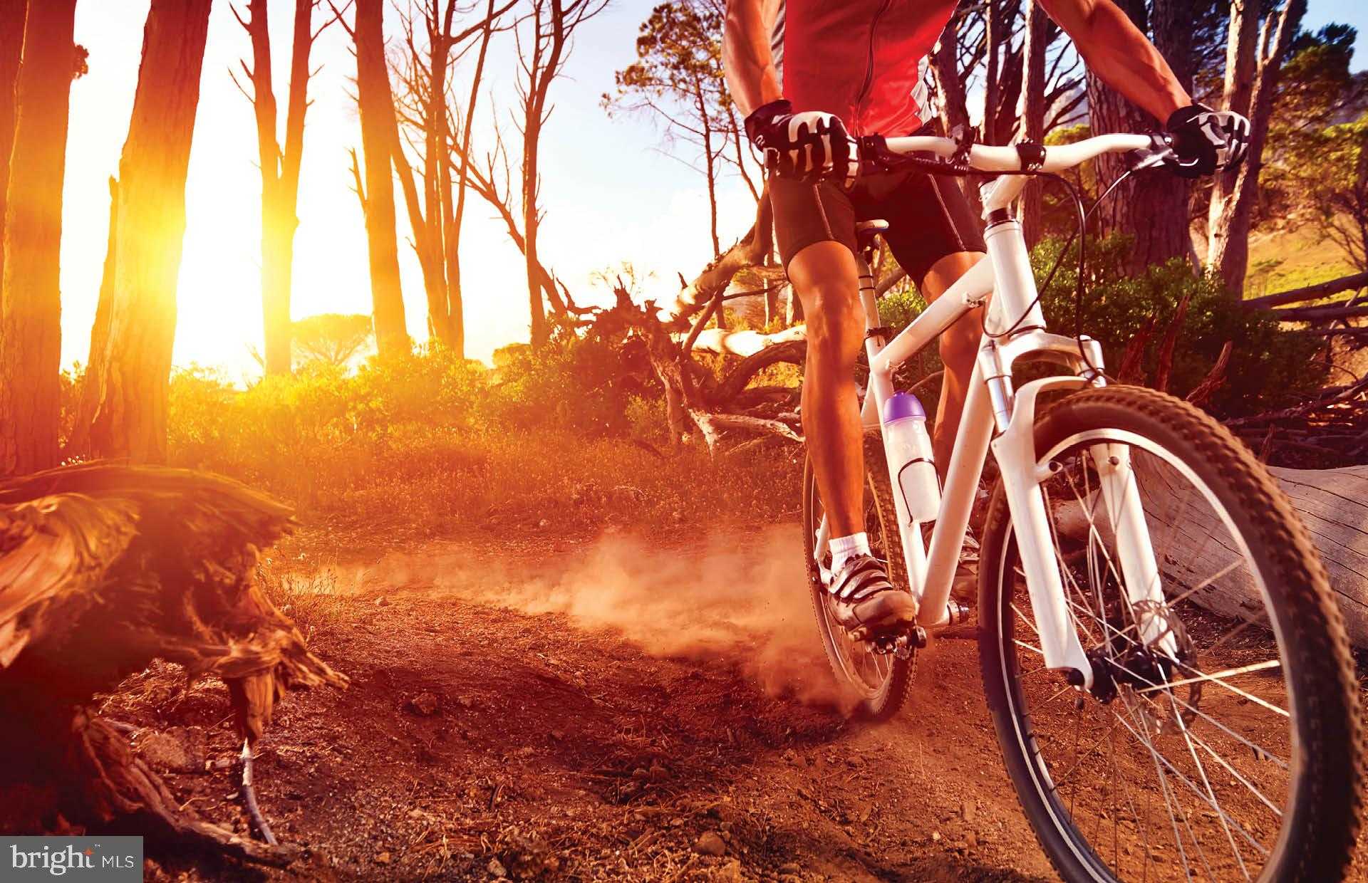 1168 Crested Wood Dr photo 33