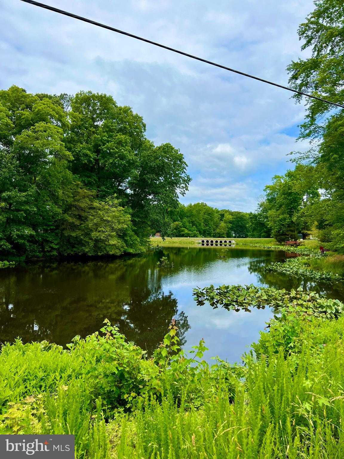 228 Dale Dr photo 34