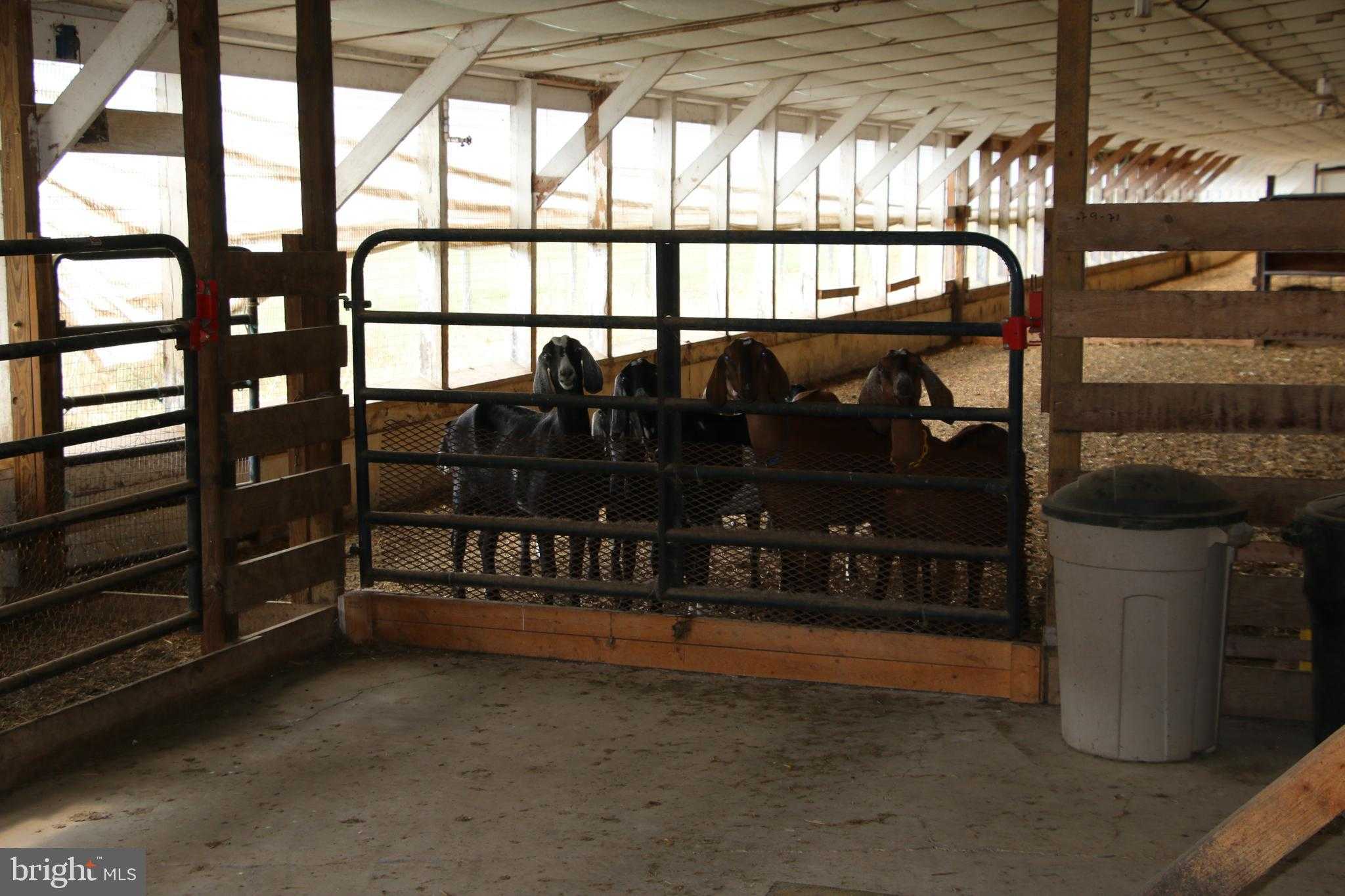 499 E Lee Hwy photo 28