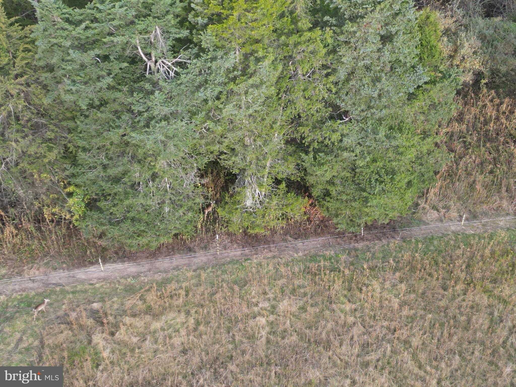 499 E Lee Hwy photo 74