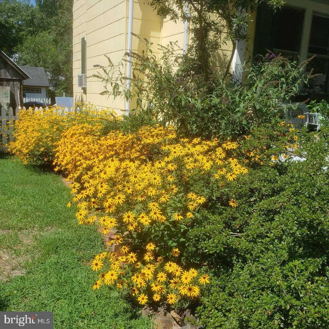 104 Windsor Ave photo 5