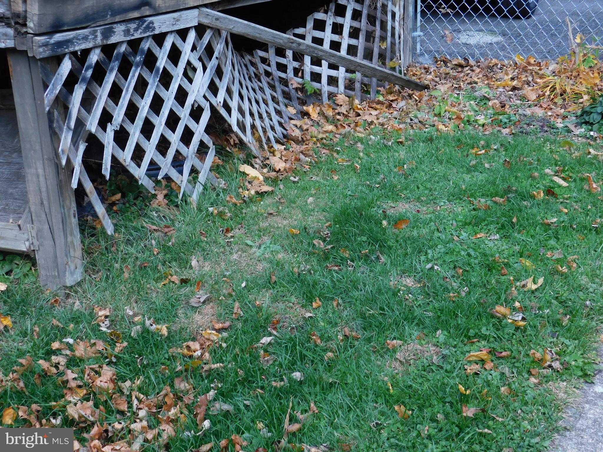 305 Orange St photo 26