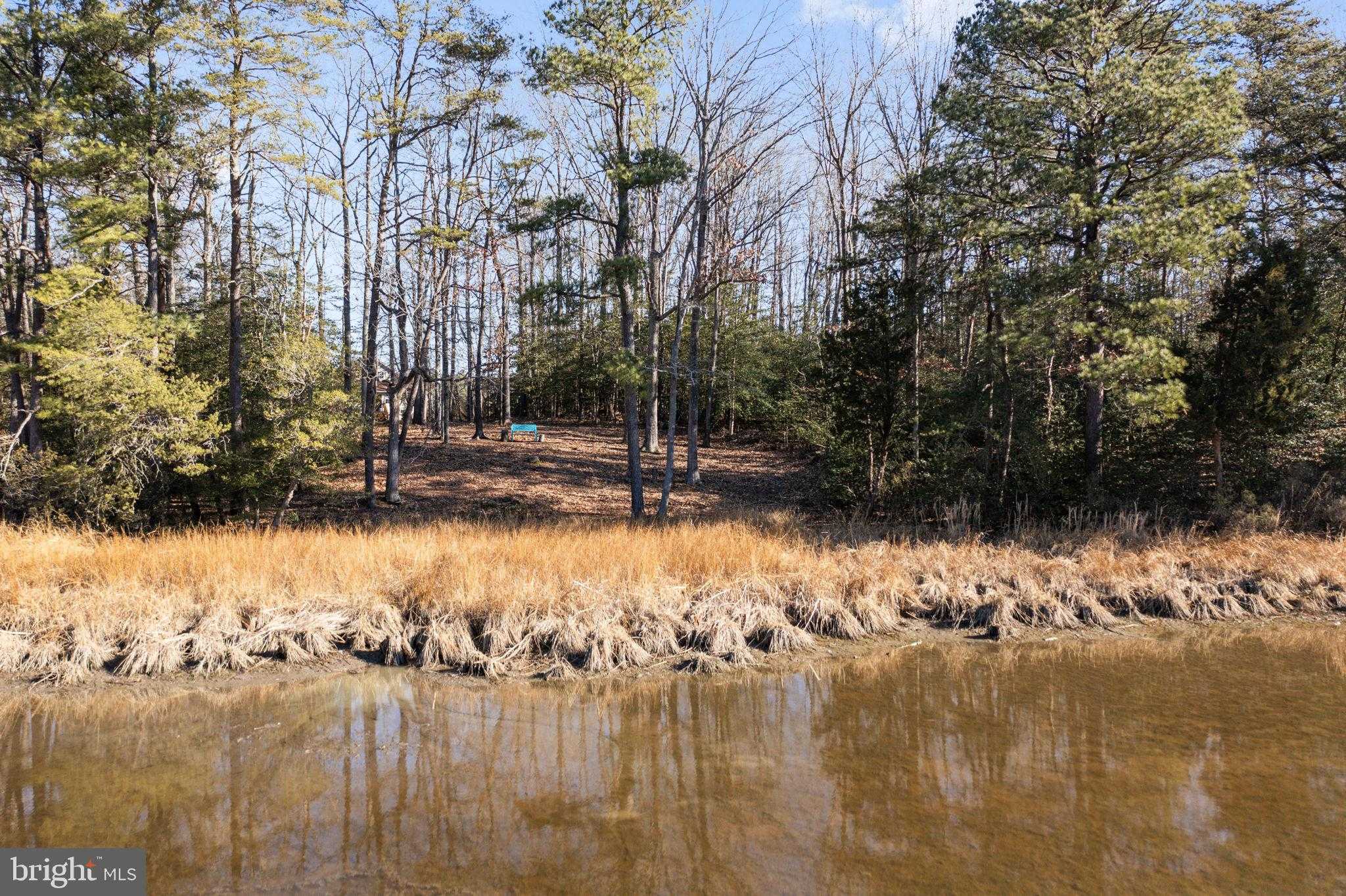 6 Dockside CT photo 41