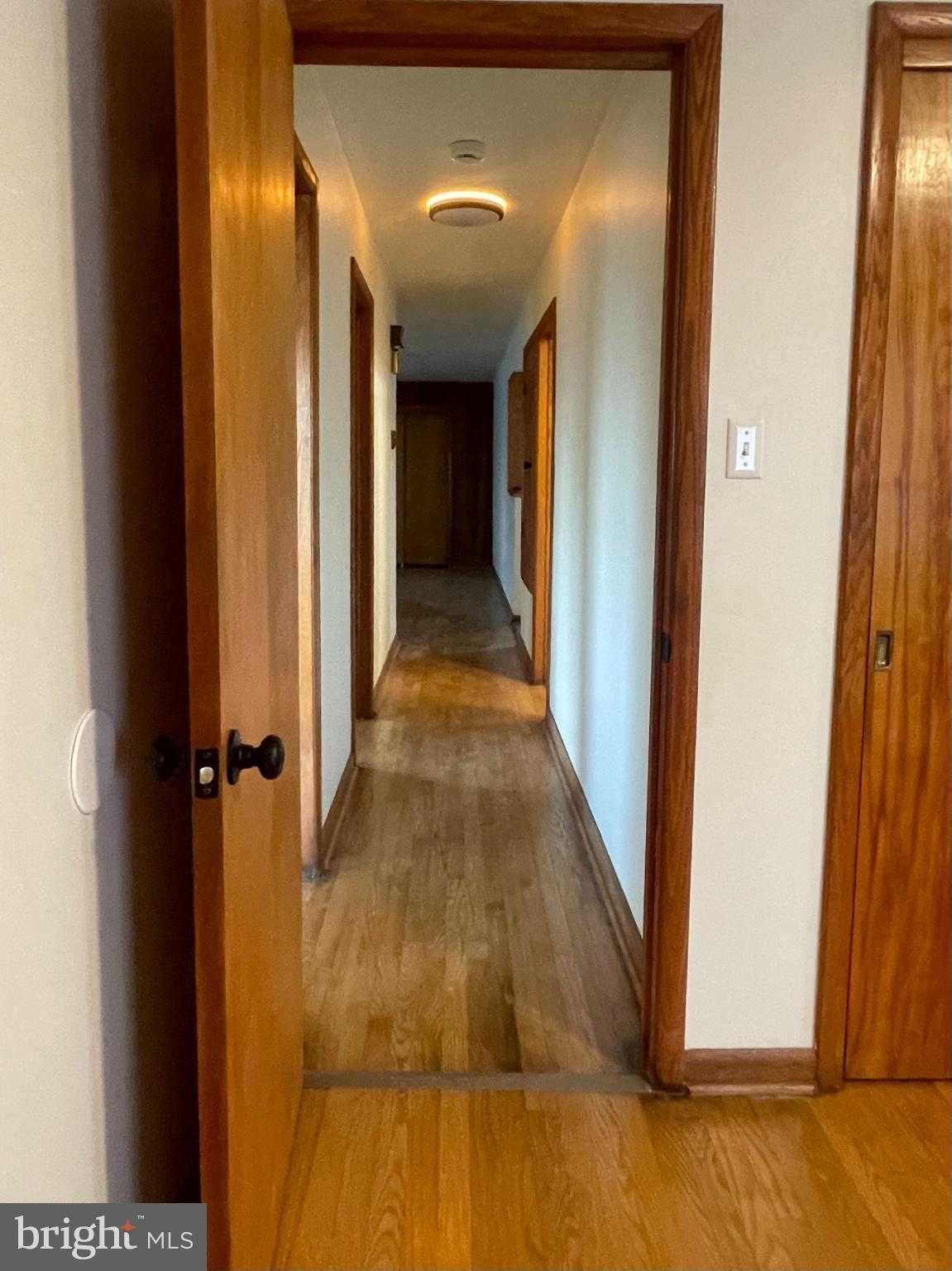 230 Armstrong Ave photo 20