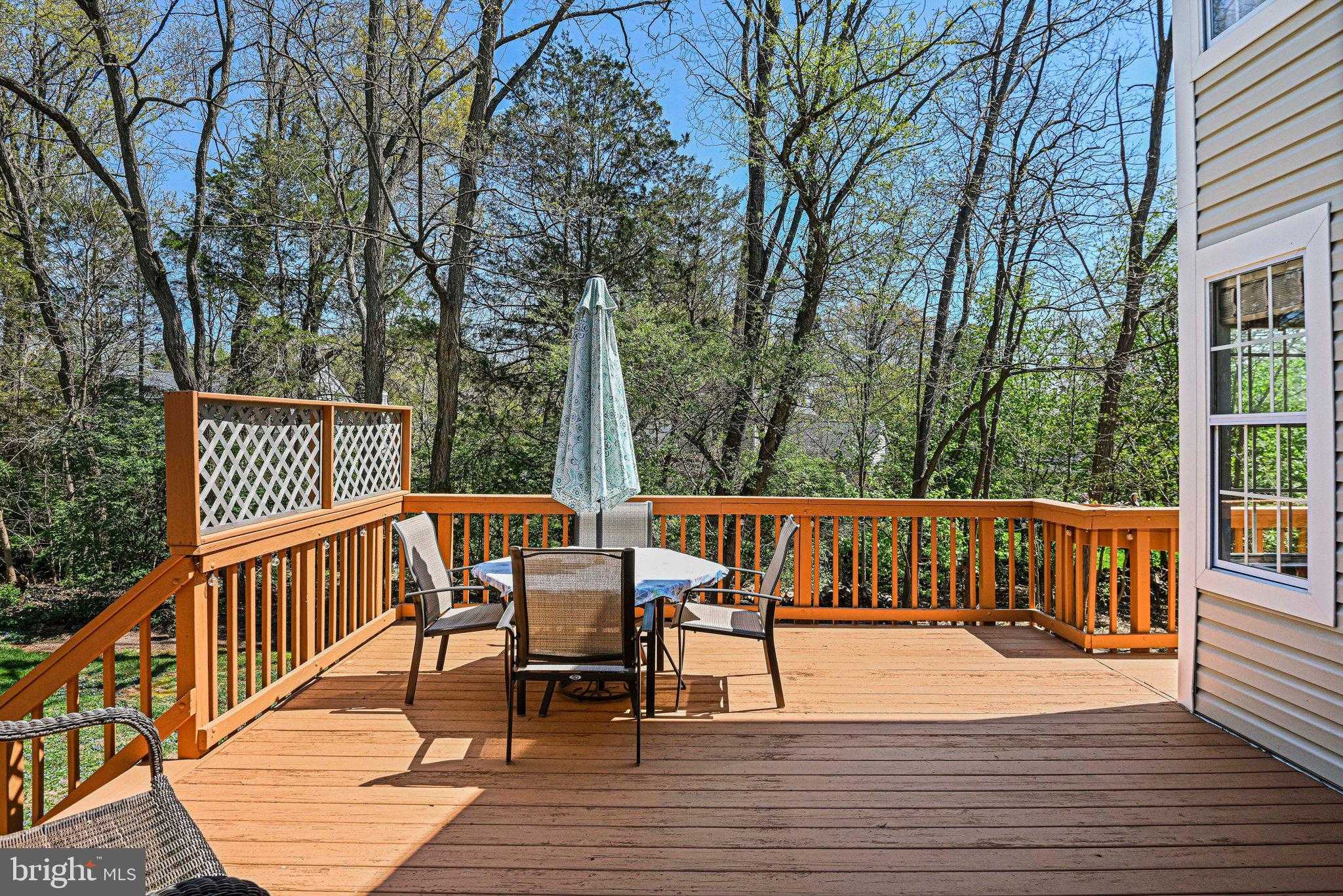 13481 Lake Shore Dr photo 43