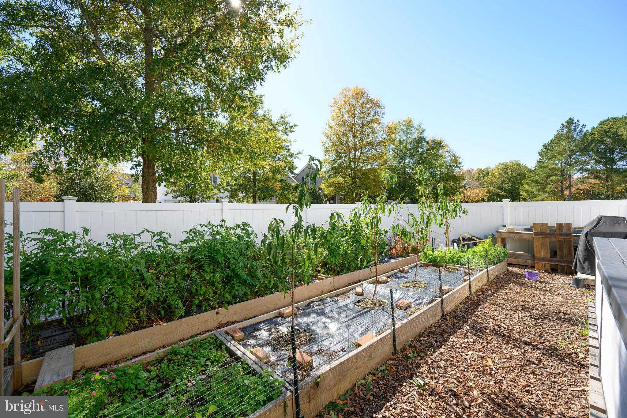 28711 Hope Cir photo 14