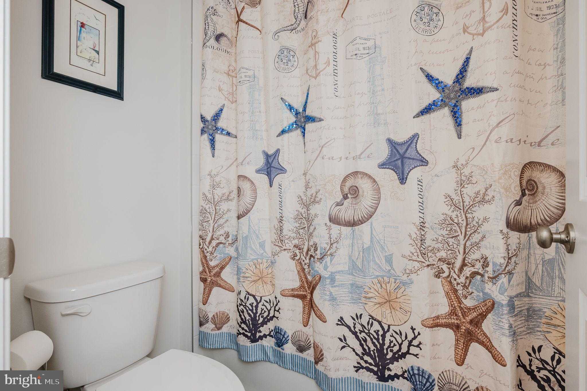 668 Beadlilly Way photo 32