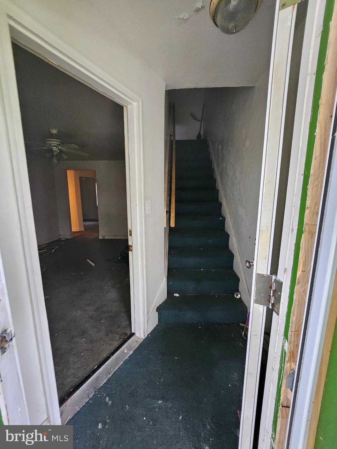 5638 Midwood Ave photo 6