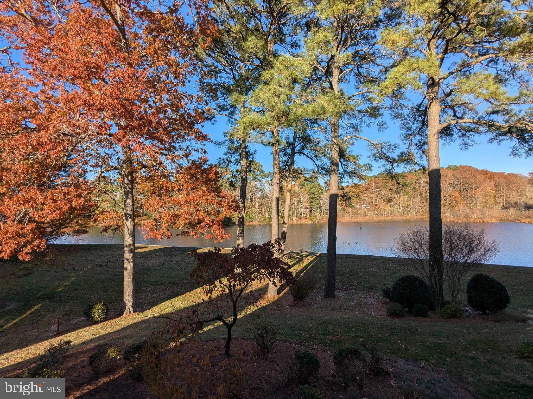 227 Canal Park Dr Apt 205 photo 6