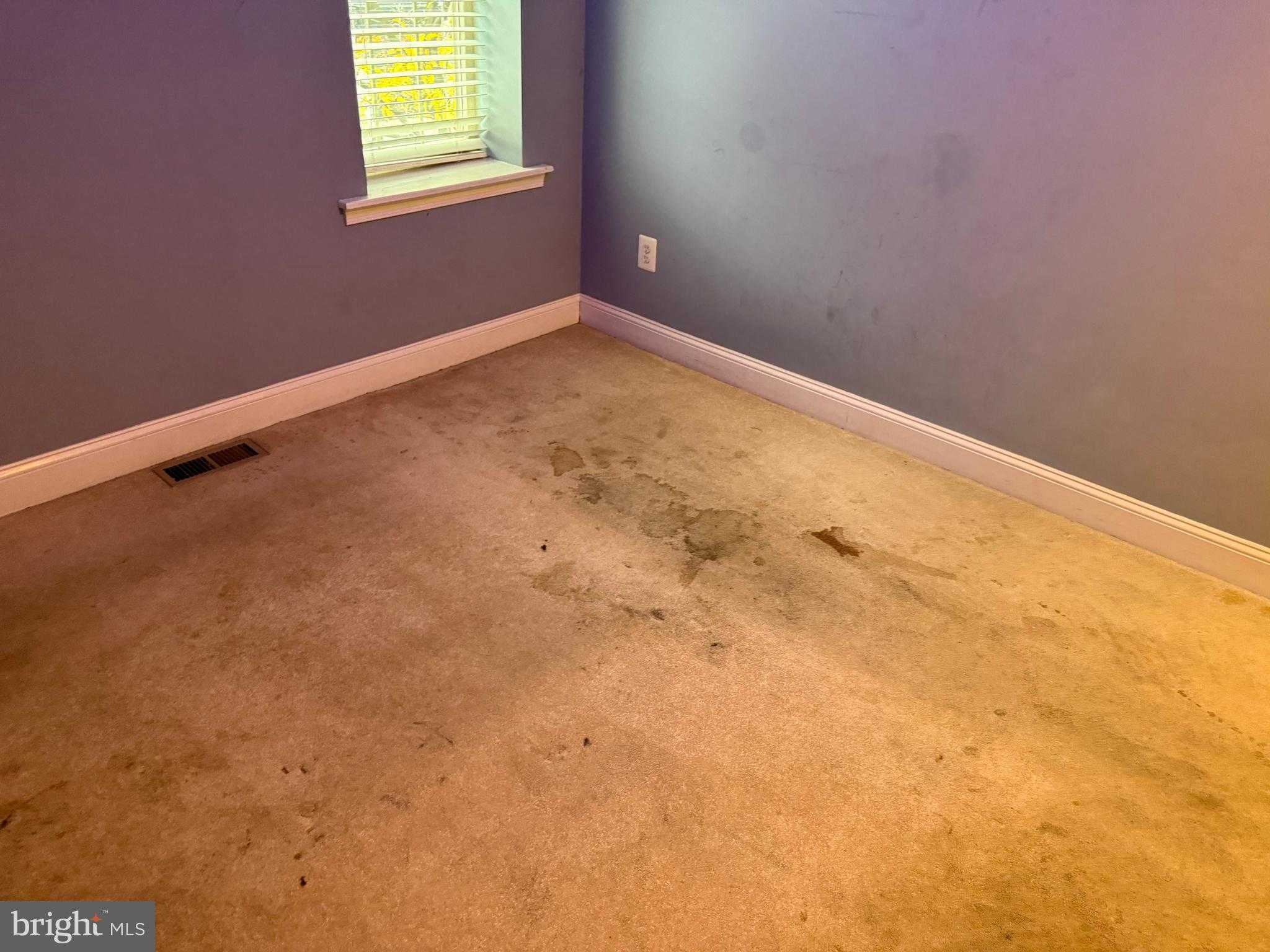 304 S Collington Ave photo 7