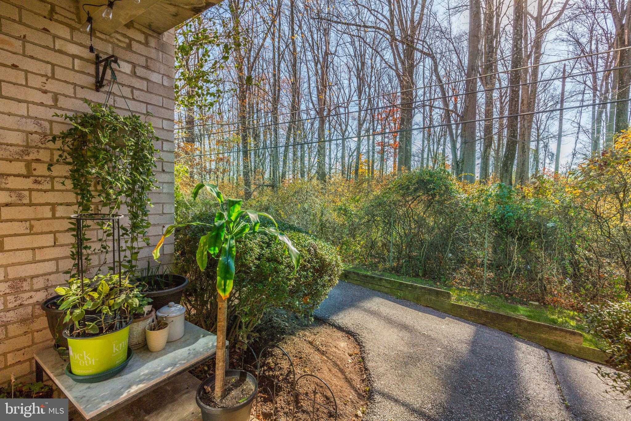 5202 Crossfield CT # 117 photo 36