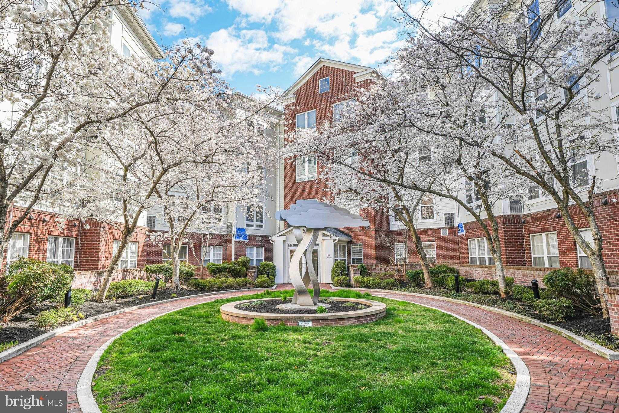 801 S Greenbrier St Apt 113 photo 2