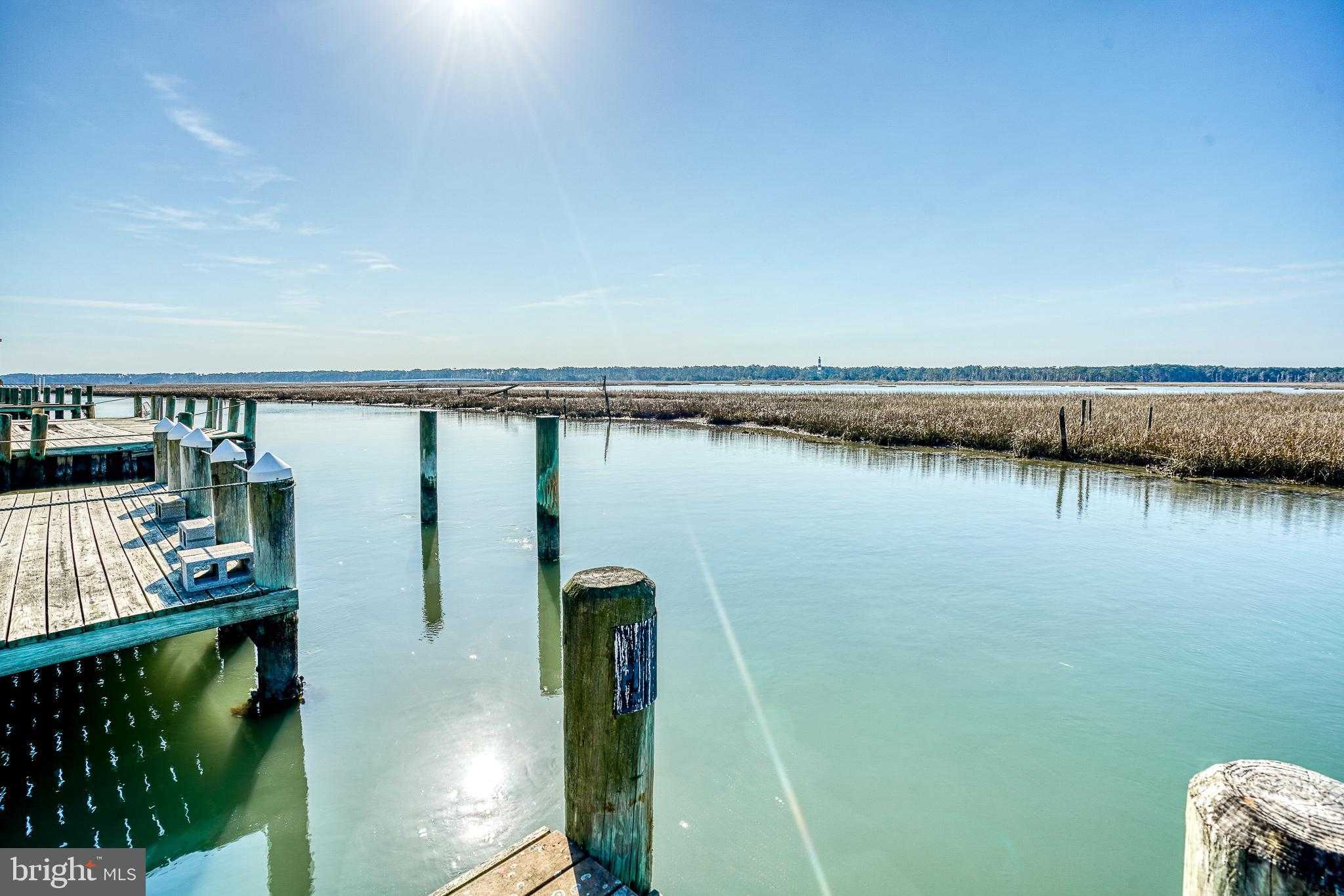 Piney Island Rd photo 8