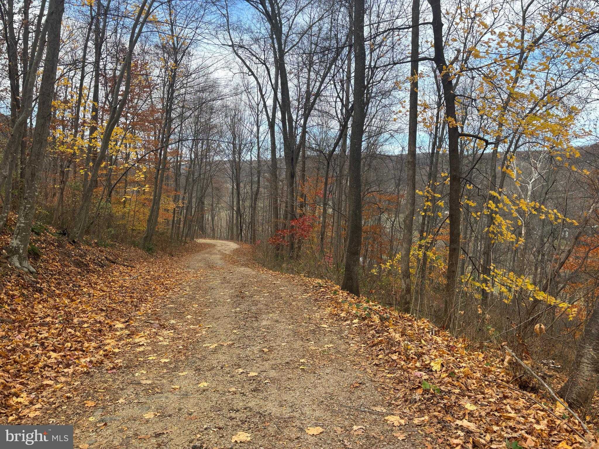 Fauquier Rd photo 19