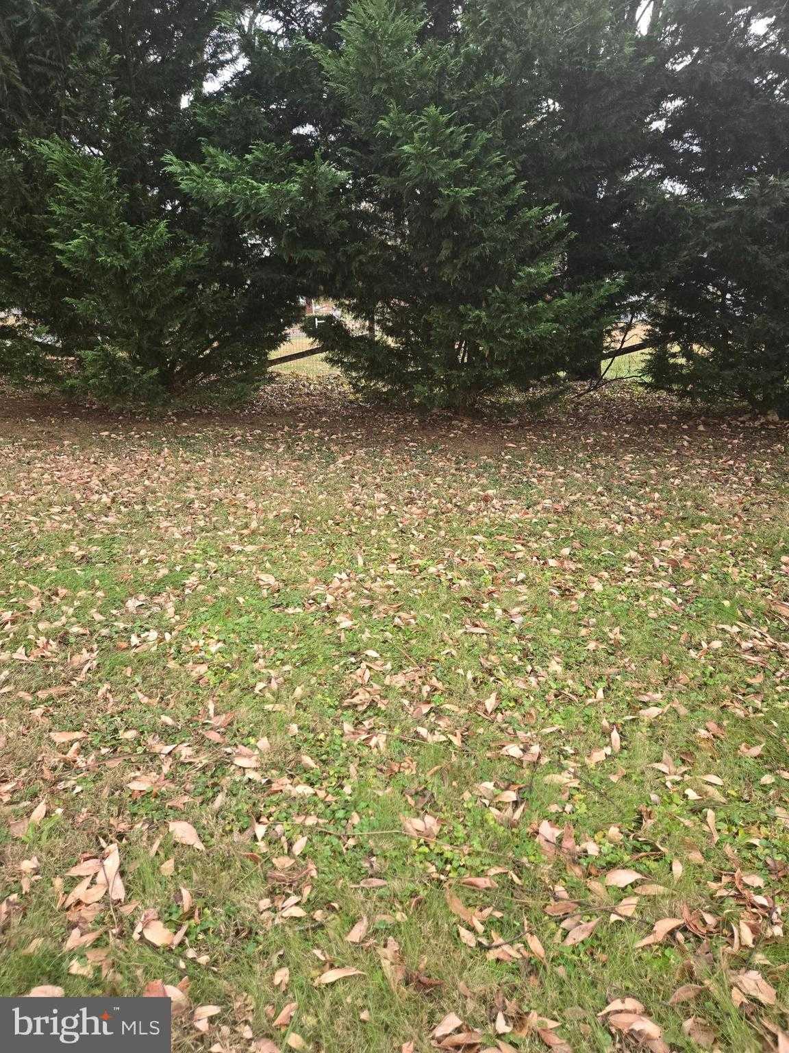 53 Madison St photo 4