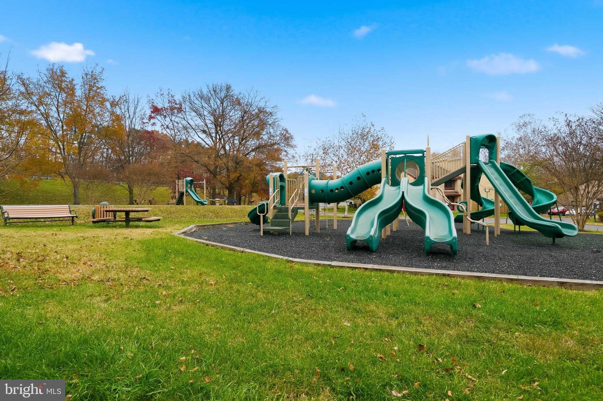 8264 Canning Ter photo 23