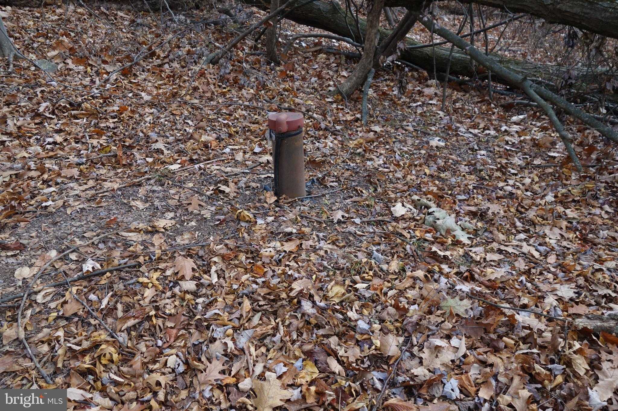 22556 Loop Rd photo 7