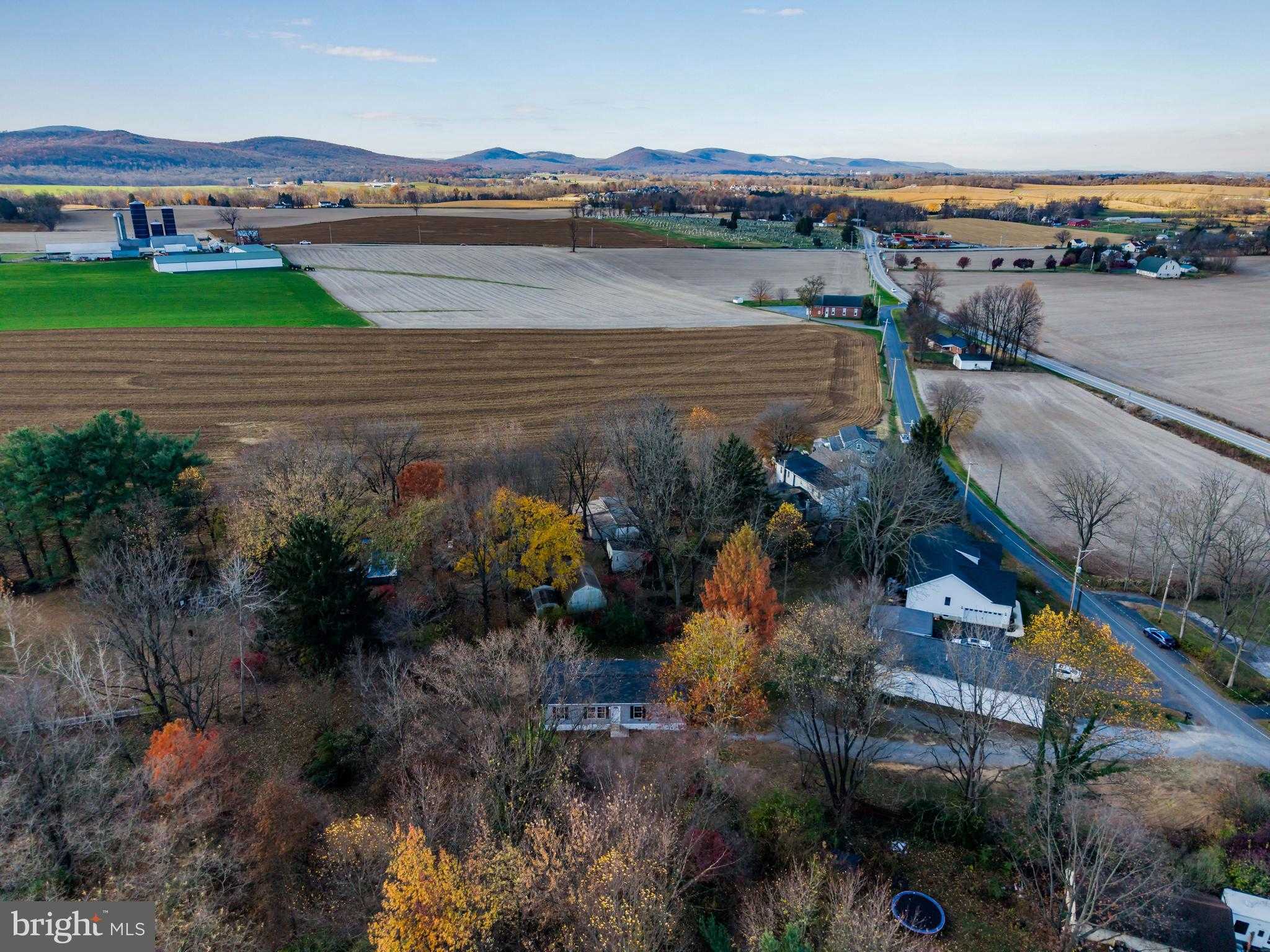 1323 Church St photo 44