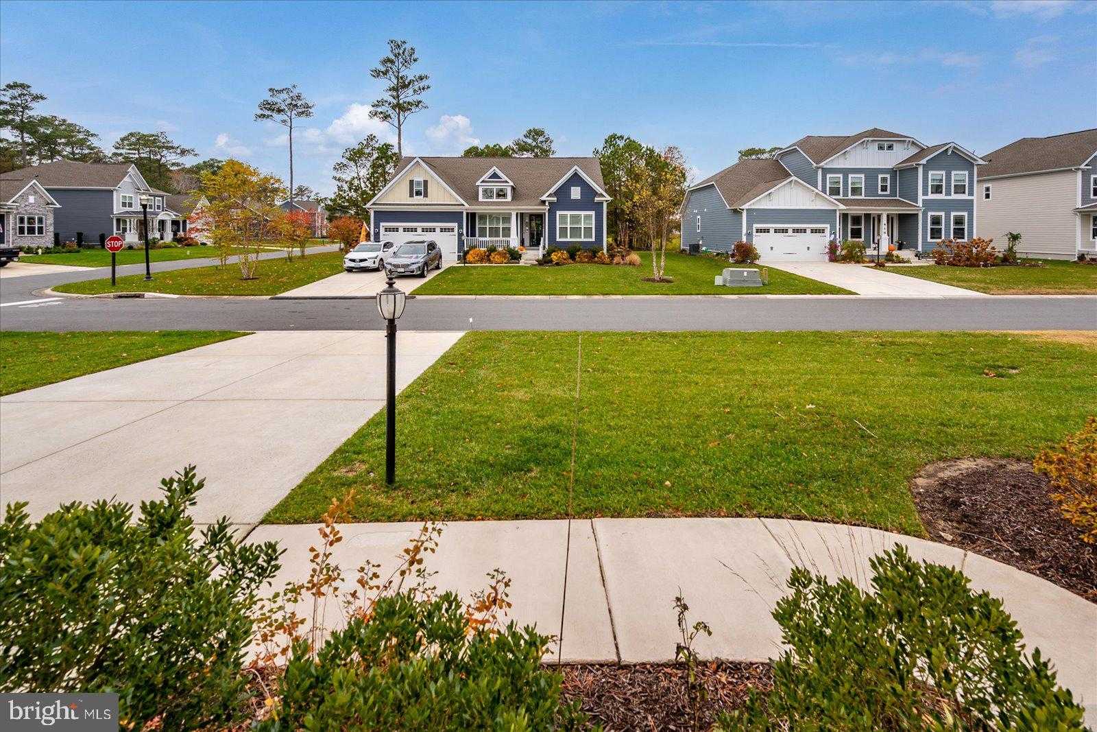 12147 Pimlico Ln photo 77