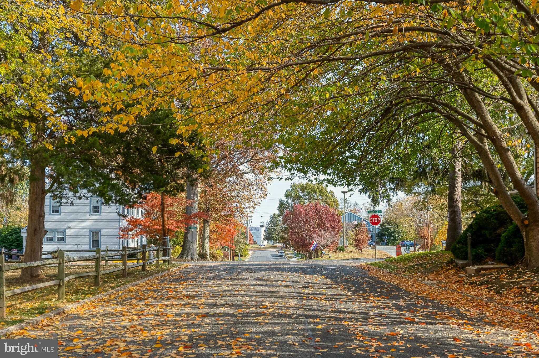 312 Lafayette St photo 79