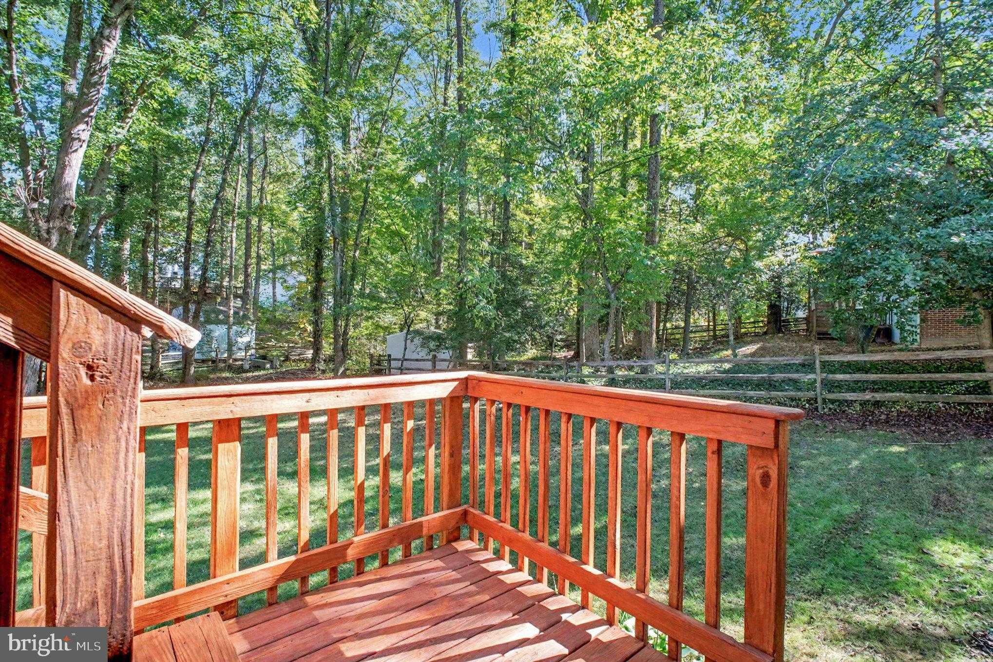 10717 Cedar Post Ln photo 36