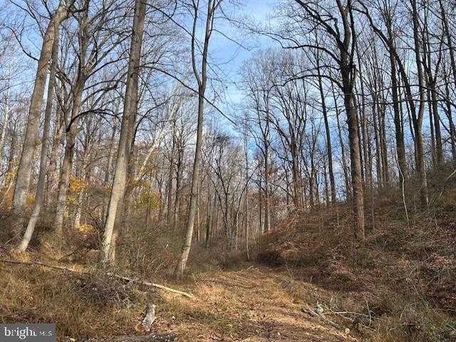 Baltimore St photo 10