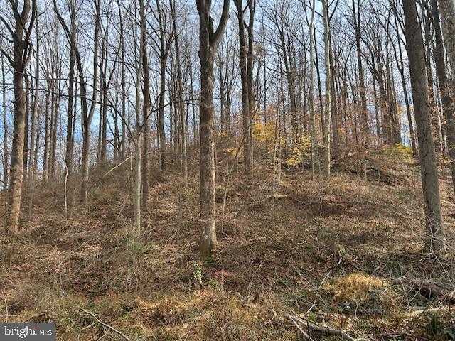 Baltimore St photo 11