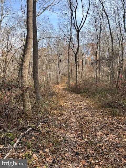 Baltimore St photo 12