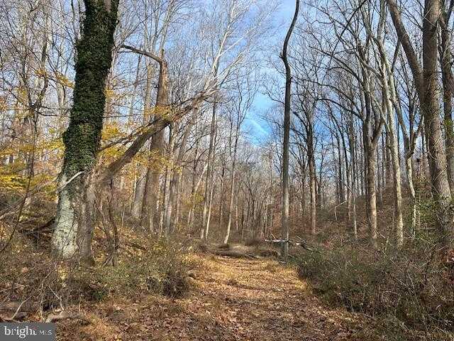 Baltimore St photo 7